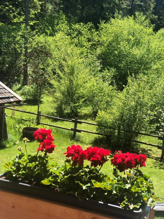 Vila Landhaus Trinis - Gaestezimmer - Bad - Bett - Kleine Kaffee - Tee-Theke Mit Kuehlschrank - Parkplatz Rotta Exteriér fotografie